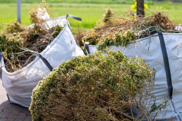 garden tidy up st albans