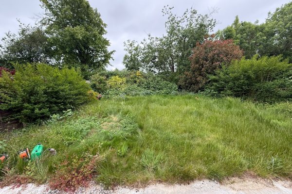 overgrown garden givena makeover